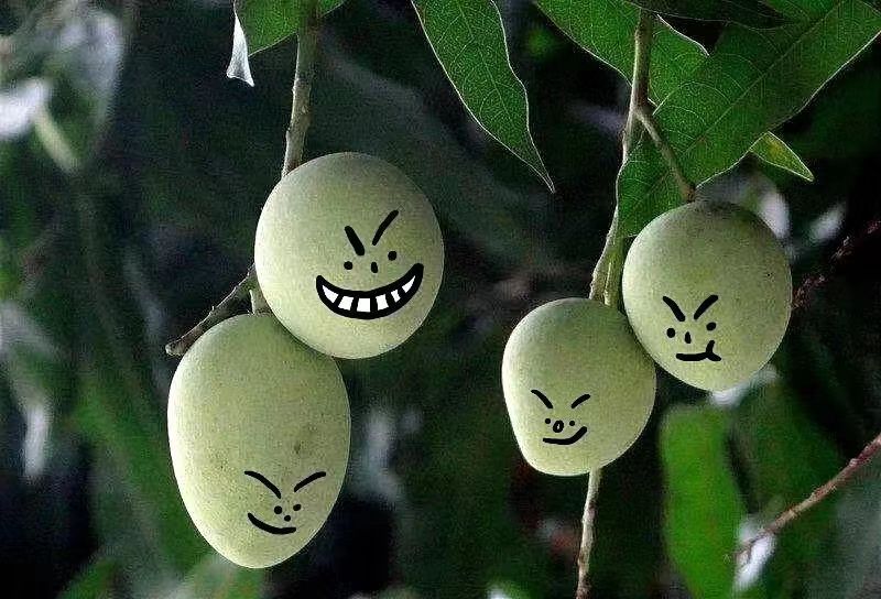 在广西，你永远不知道天上会掉下来什么