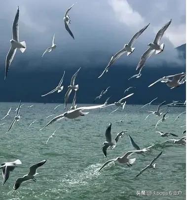 昆明市区十大景点介绍,云南昆明市区旅游景点