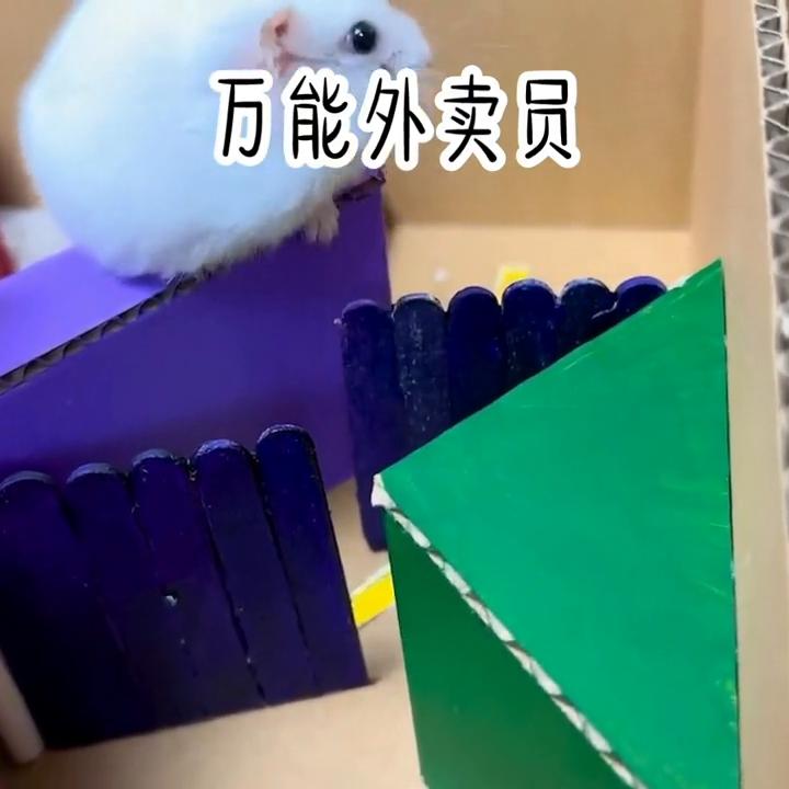 点赞评论关注精彩不断,关注点赞每日分享热门小说