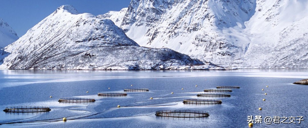 200挪威克朗背面,200挪威克朗是多少人民币