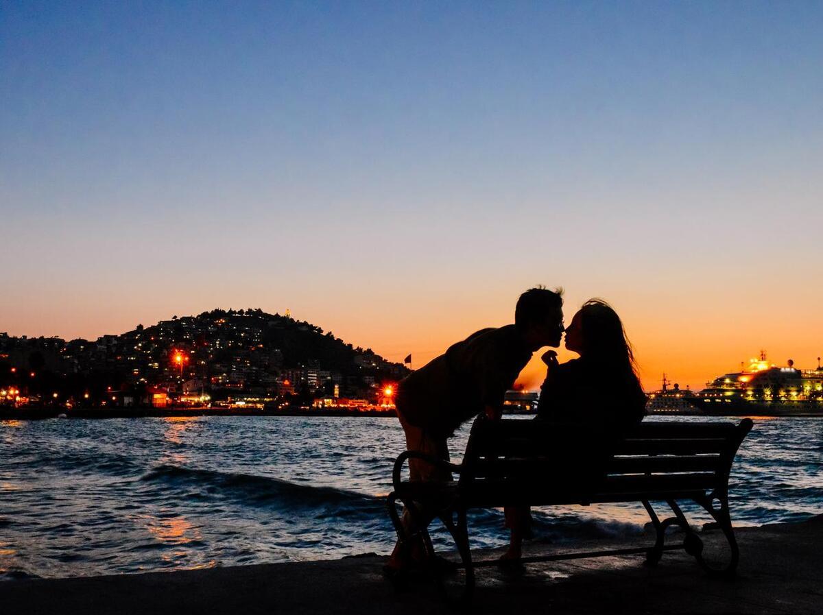 禁忌之恋：男子狂爱狗，法院终审判决揭晓！