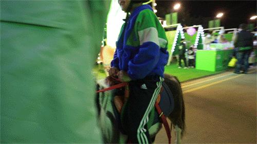 徐州宠物市集太好逛了！别走开，“立冬暖食市集”周末喷香开市