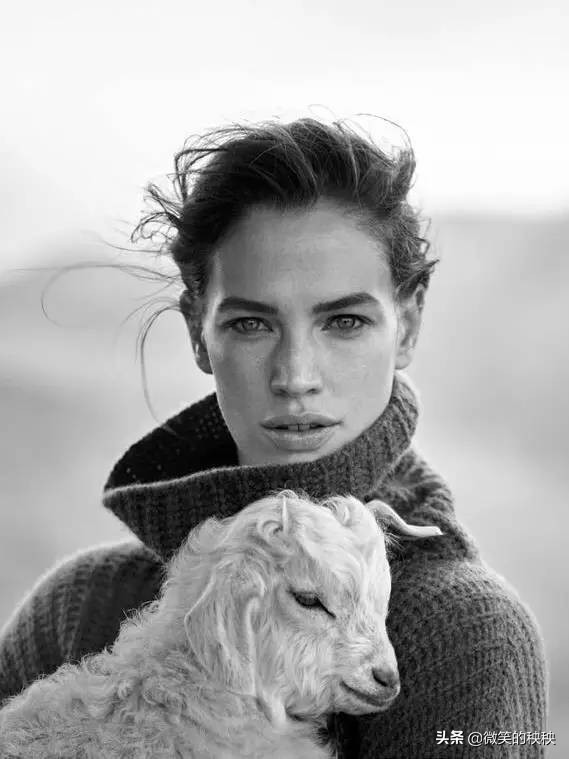 冬天最温暖的羊绒,冬季温暖羊绒