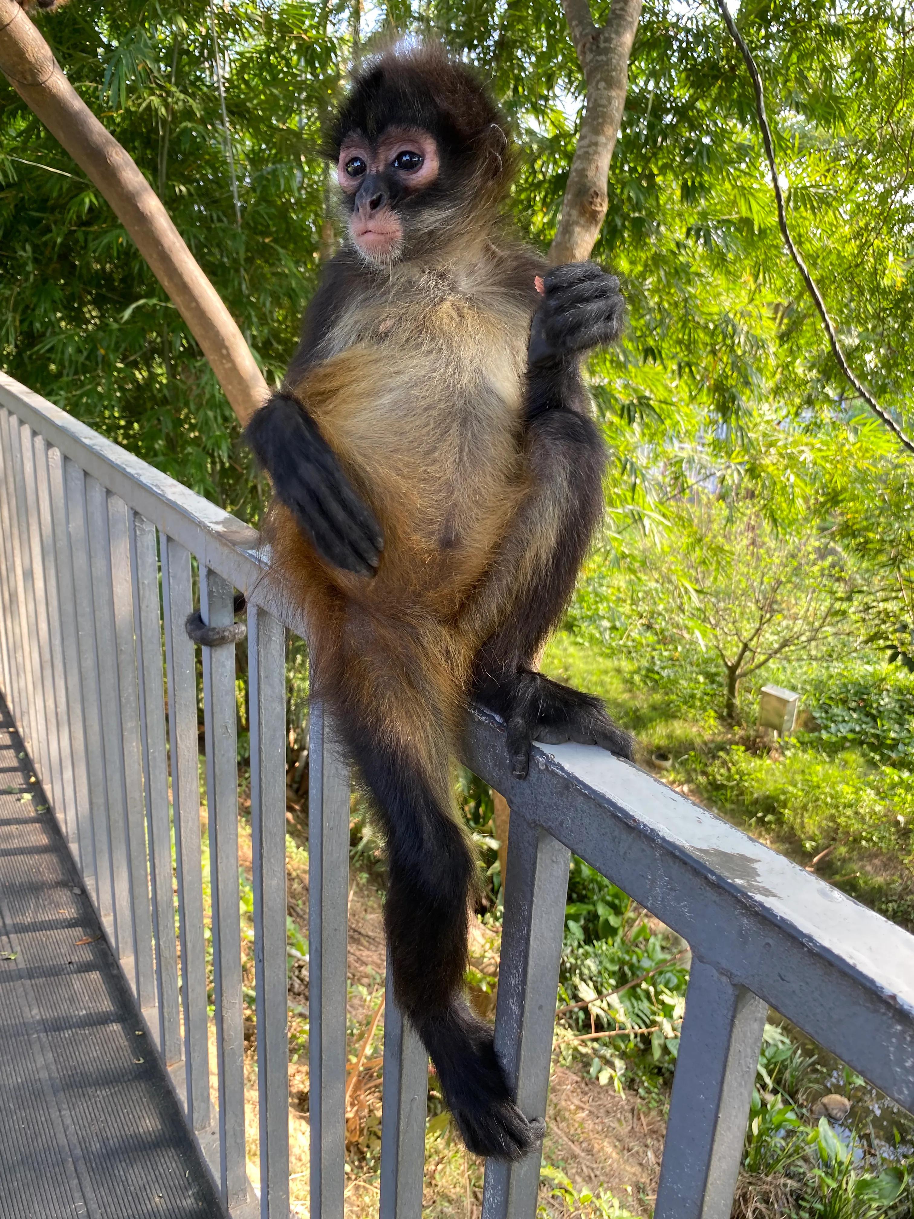 罗浮山浮生六季生态园研学,惠州博罗罗浮山浮生六记生态园