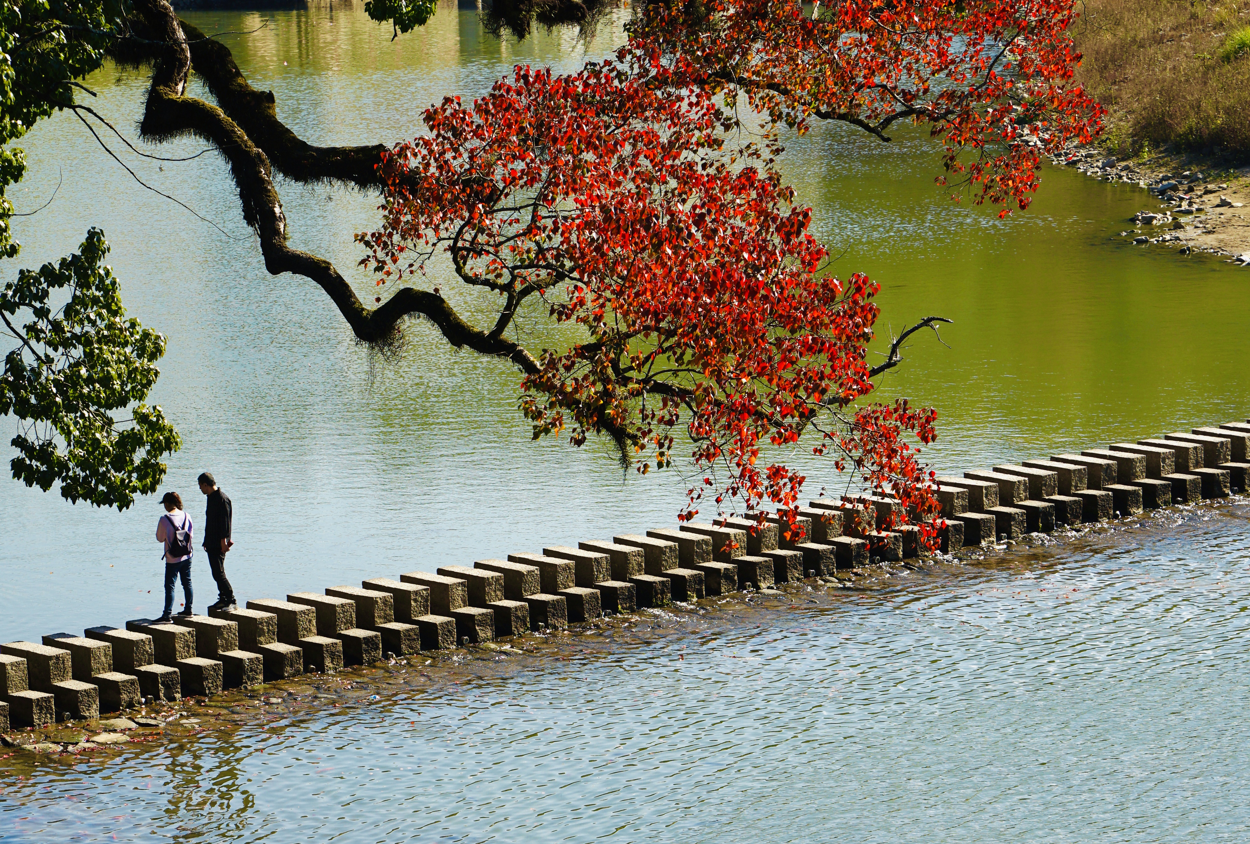 温州旅游攻略必去十大景点,12月份浙江温州旅游攻略