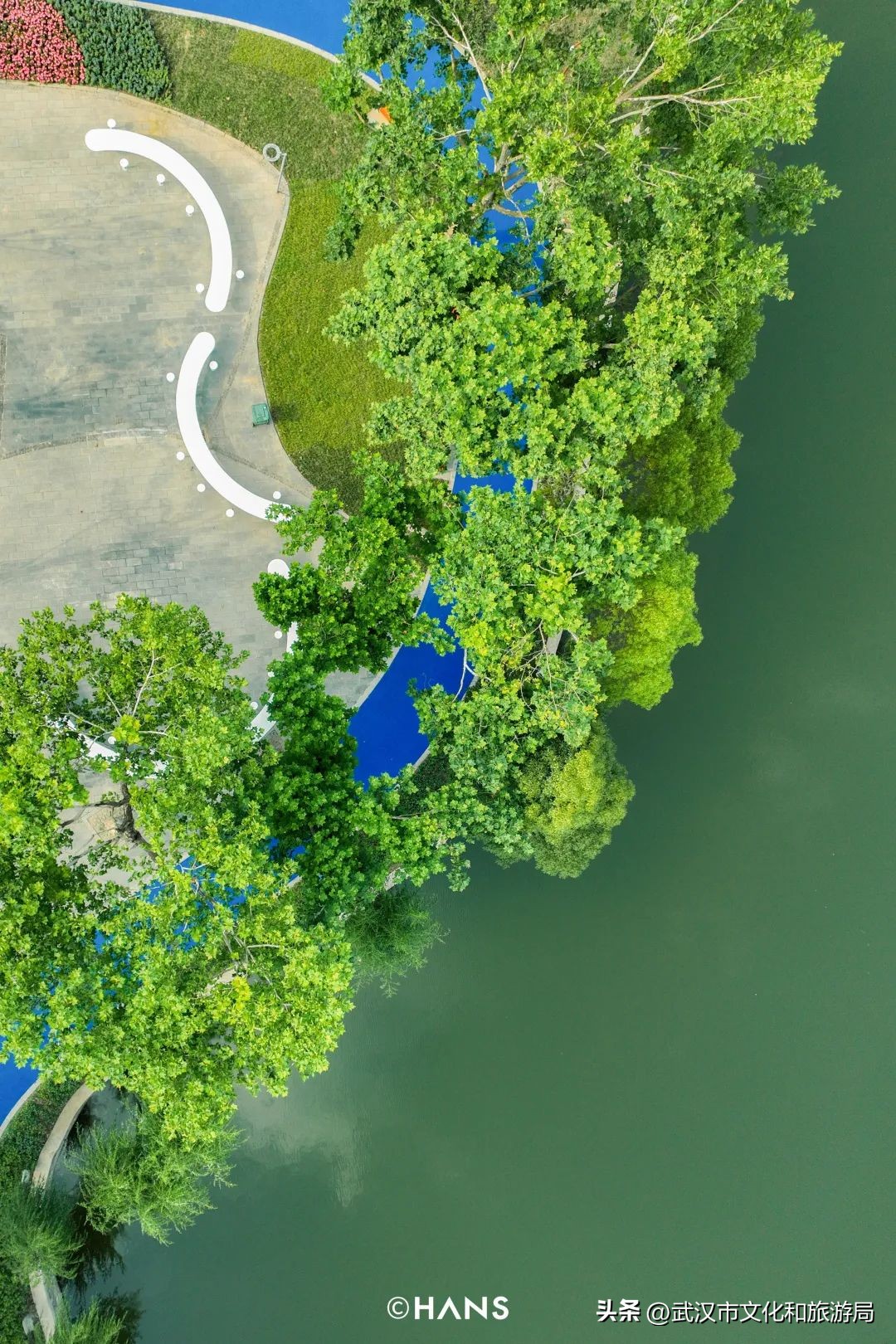 离武汉人最近的湿地，家楼下的10个宝藏小湖