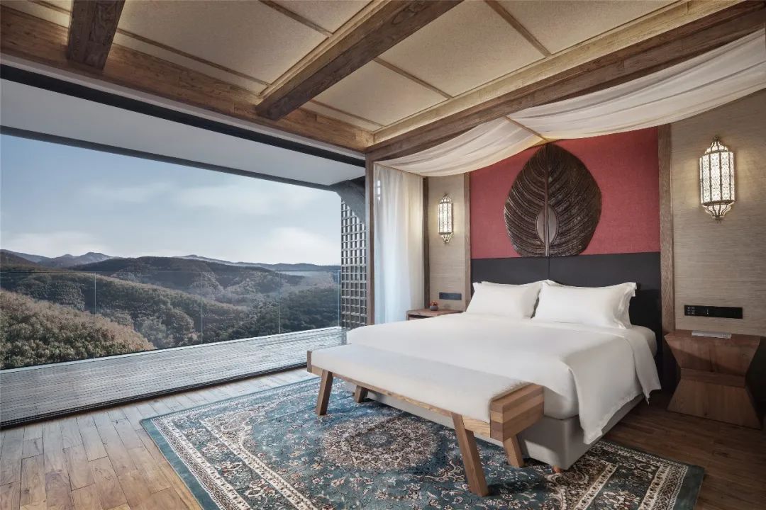 西双版纳旅游攻略两分钟视频,西双版纳旅游攻略摄影