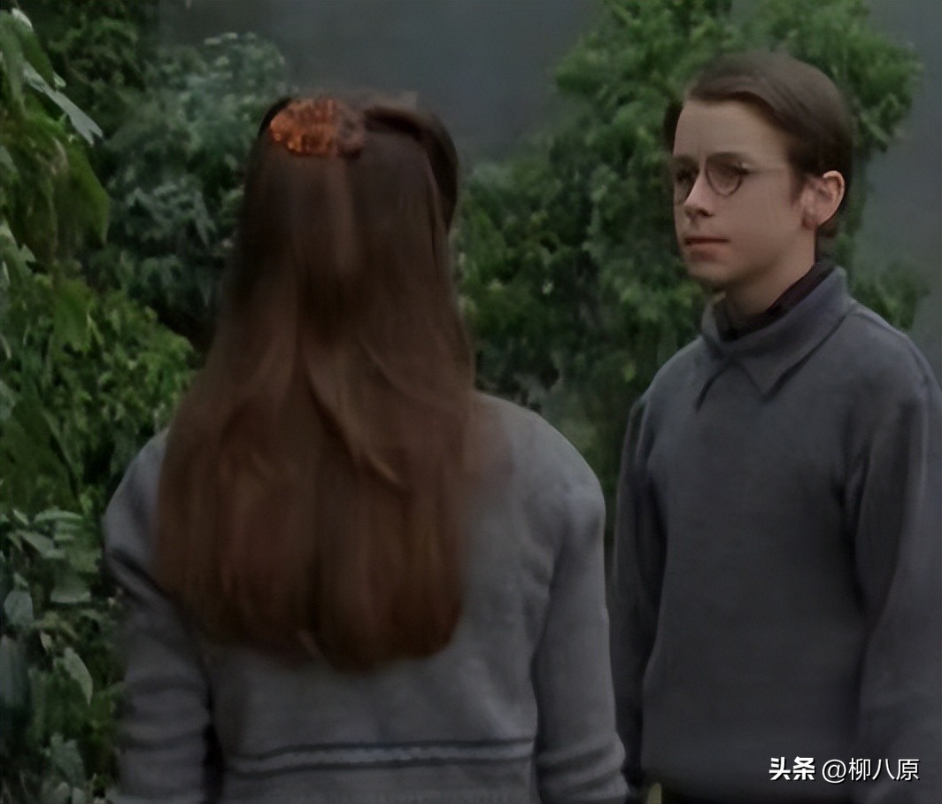 美国电影秘密花园内容,美国电影秘密花园内容简介