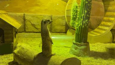 大无语事件！268元买了哈尔滨极地公园亲子票，被路人追着问了三条街！