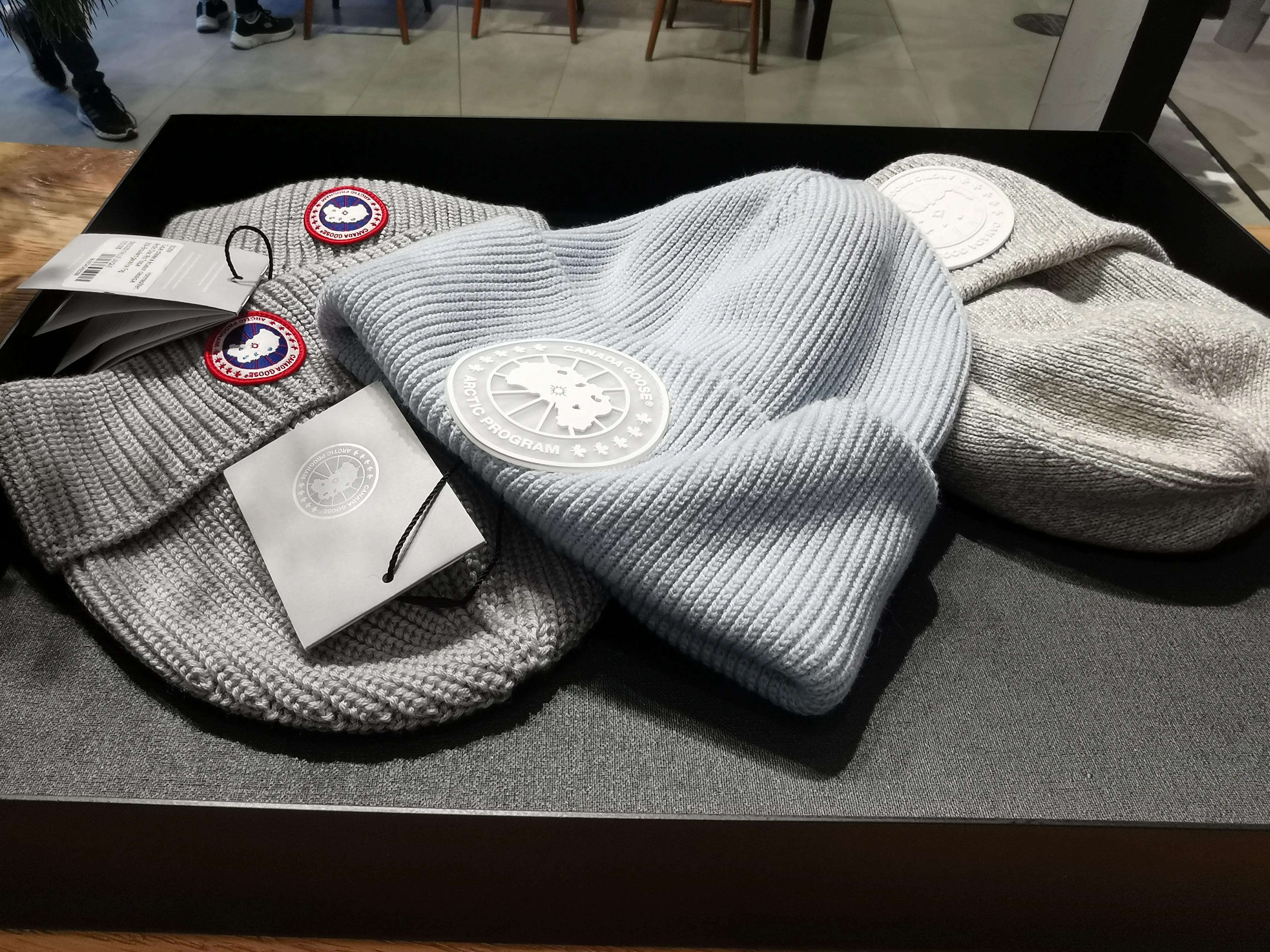 为什么有很多中国人买加拿大鹅,加拿大鹅中国是不是比加拿大贵