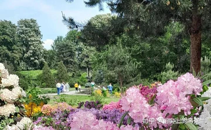 俄乌战争第一天攻占机场战斗详情,俄乌战争第45天战报及新闻综述