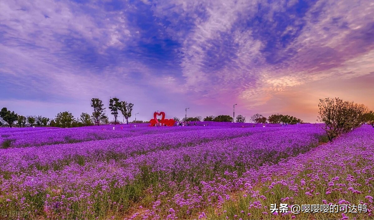 苏州春暖花开旅游攻略,苏州踏秋去哪里旅游好玩
