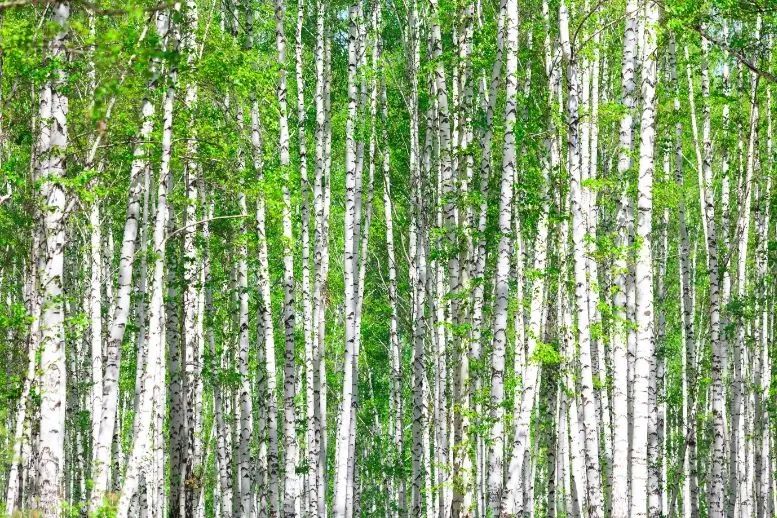 夏季旅游推荐3-4天游,夏天旅游攻略国内推荐3到4天