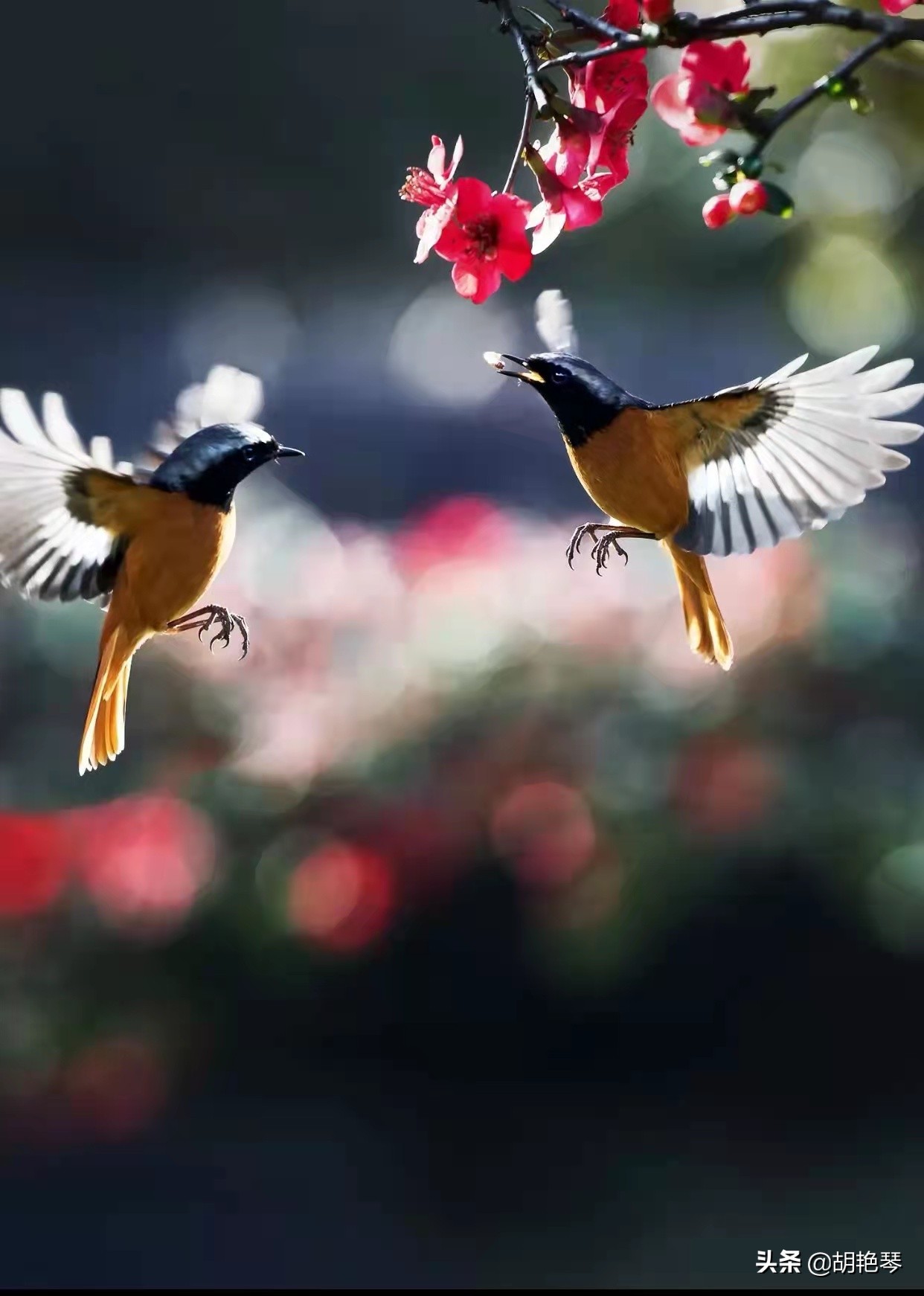 100个姓氏诗词,姓氏诗100句