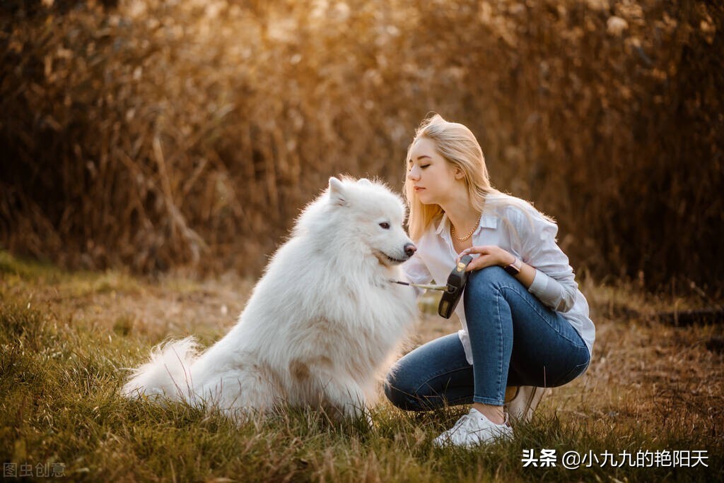 怎么训练狗狗坐和站,怎么训练狗狗坐电瓶车