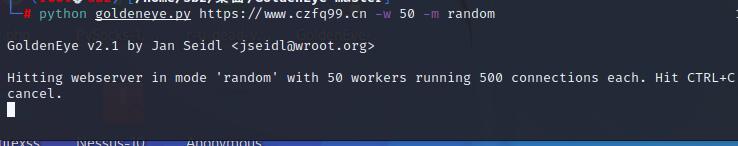 拒绝服务攻击的实现方法,低速率拒绝服务攻击
