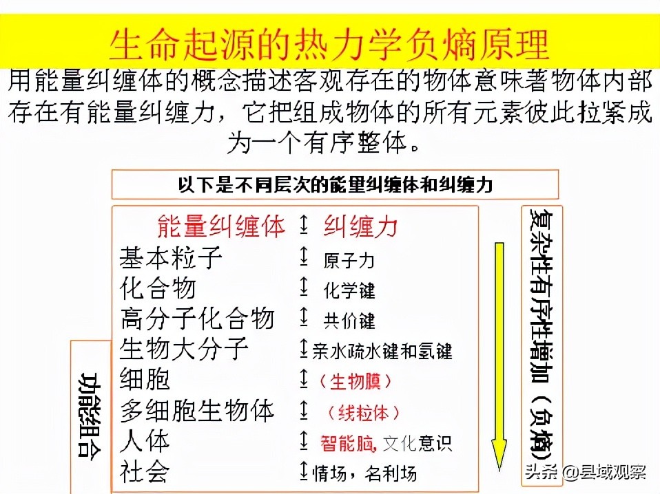 生命守护者人民的健康卫士,生命健康的守护者