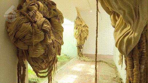 昆明植被覆盖情况,昆明市区植被覆盖率最高区域