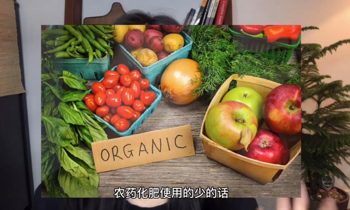 24岁美女爱上无痕生活，不用卫生巾，不点外卖，养300只蚯蚓堆肥