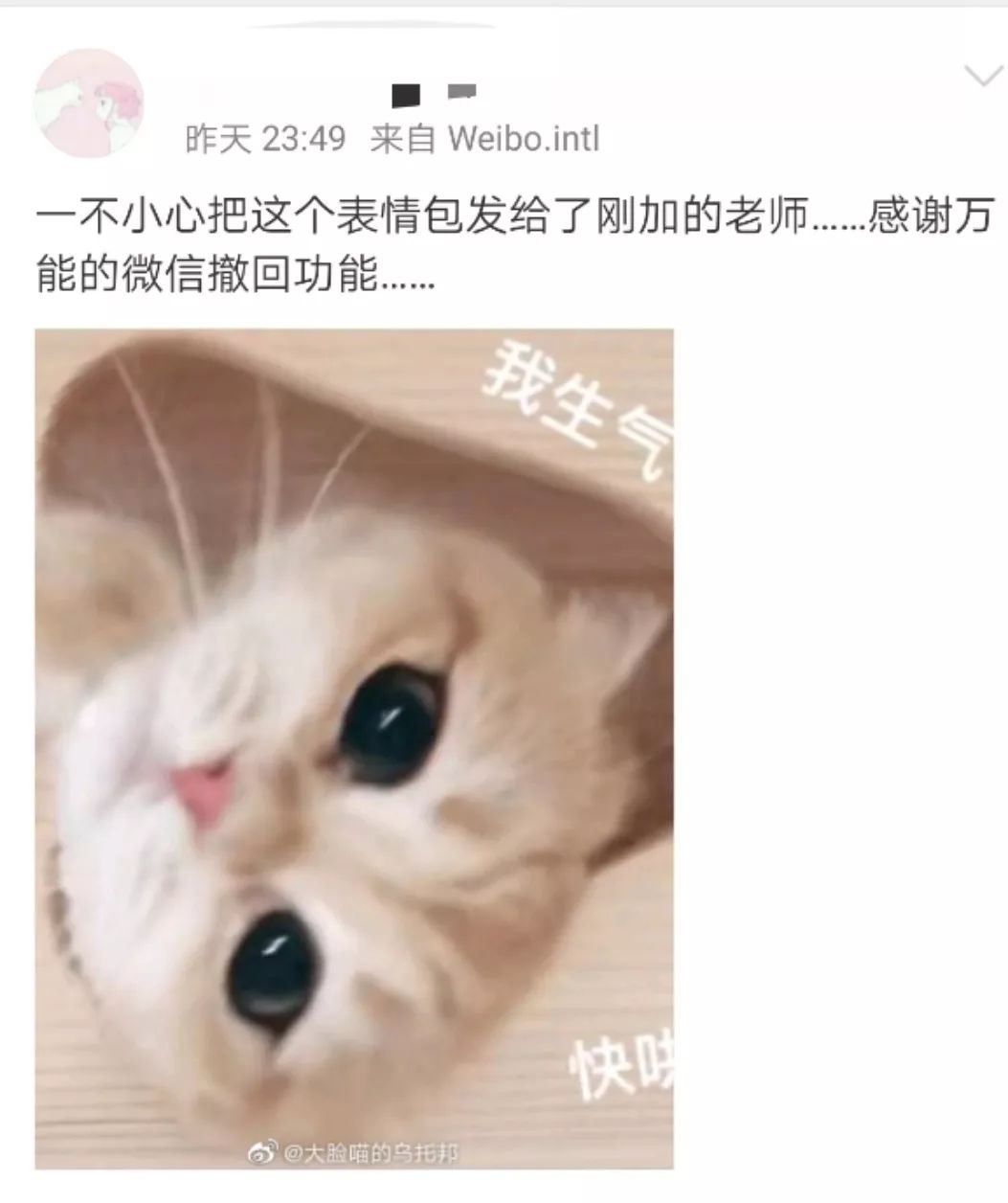 微信实用功能小技巧,微信功能详细介绍及操作