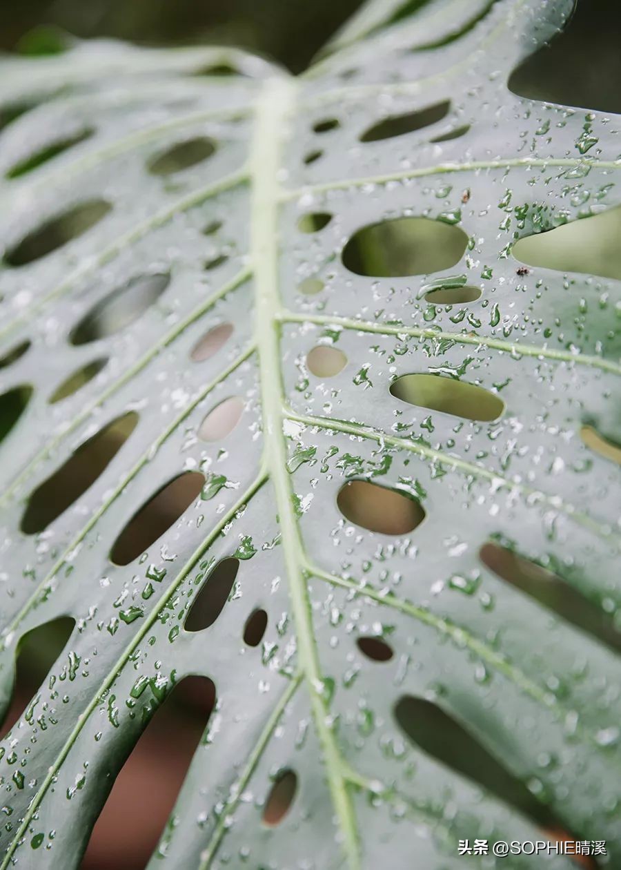 百万淘宝探店,一起探店淘宝