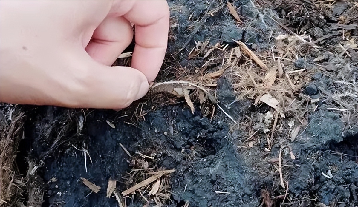 植物源有机肥生态种植,植物源有机肥适合果树吗
