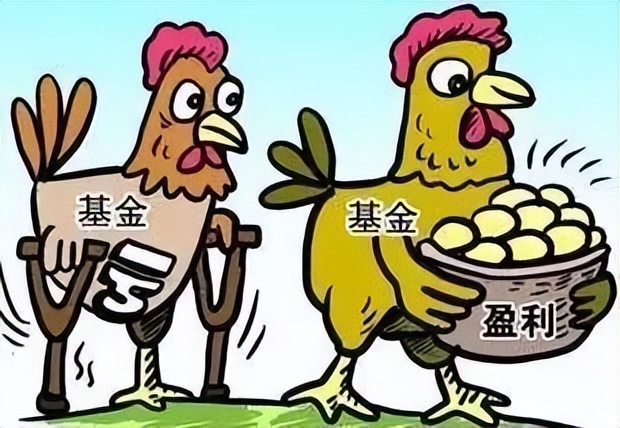 基金每日分析12月21日,11月10日基金行情最新分析今天