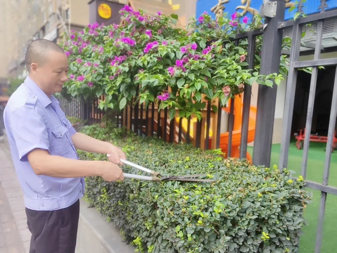 家校共育中感人的教育故事,感人至深的育人故事师生之间