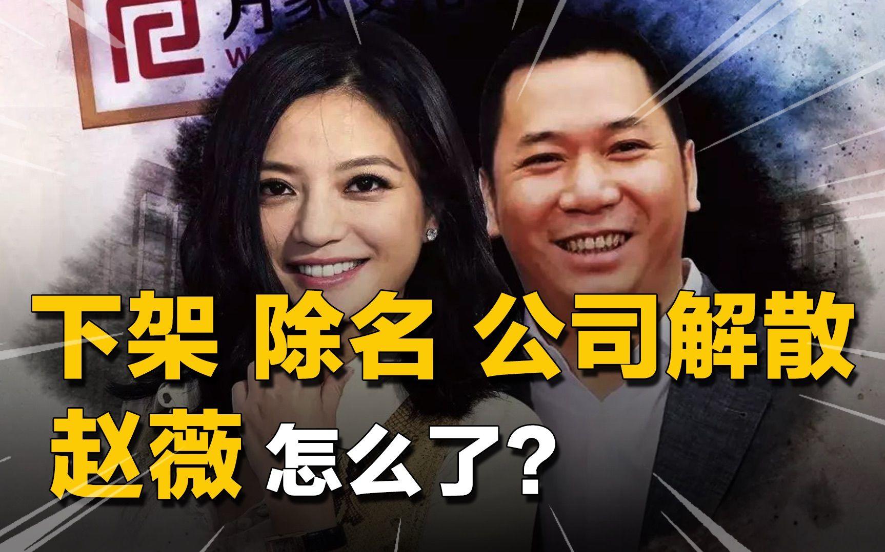 赵薇叛国罪,赵薇涉黑涉恶