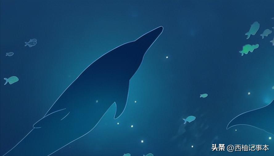 人死后会去哪里？来听一听濒死体验者的亲口讲述