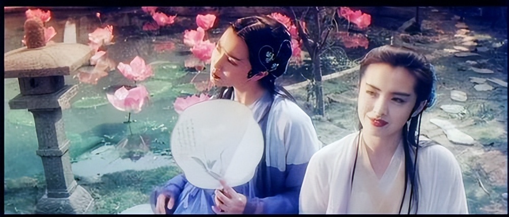 盘点十大难以杀死的动物,被砍了头的鸡还能活多久