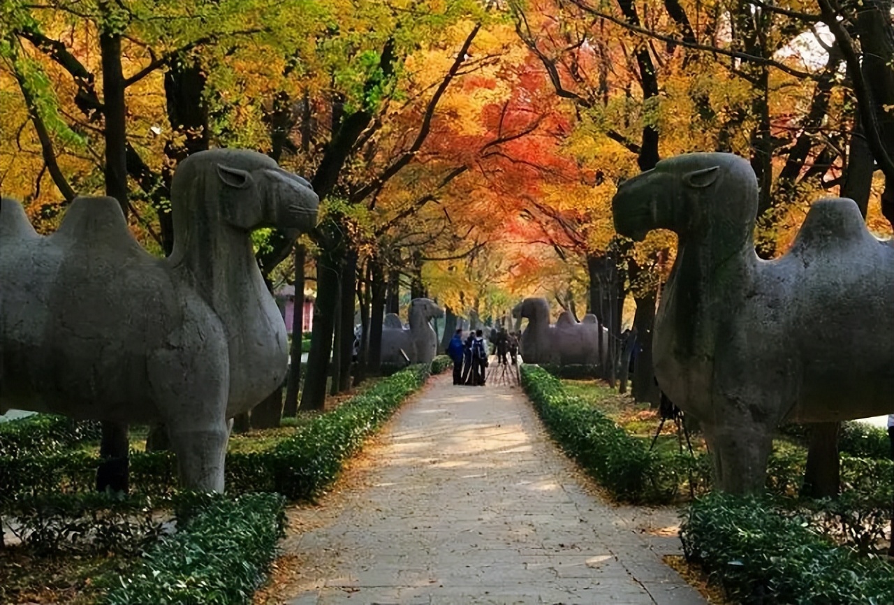 康熙明孝陵前祭拜朱元璋,朱元璋真的葬在明孝陵吗