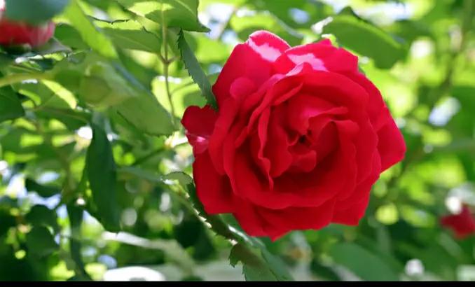 老公一遇到事情就发火,老公爱发脾气想离婚了怎么办