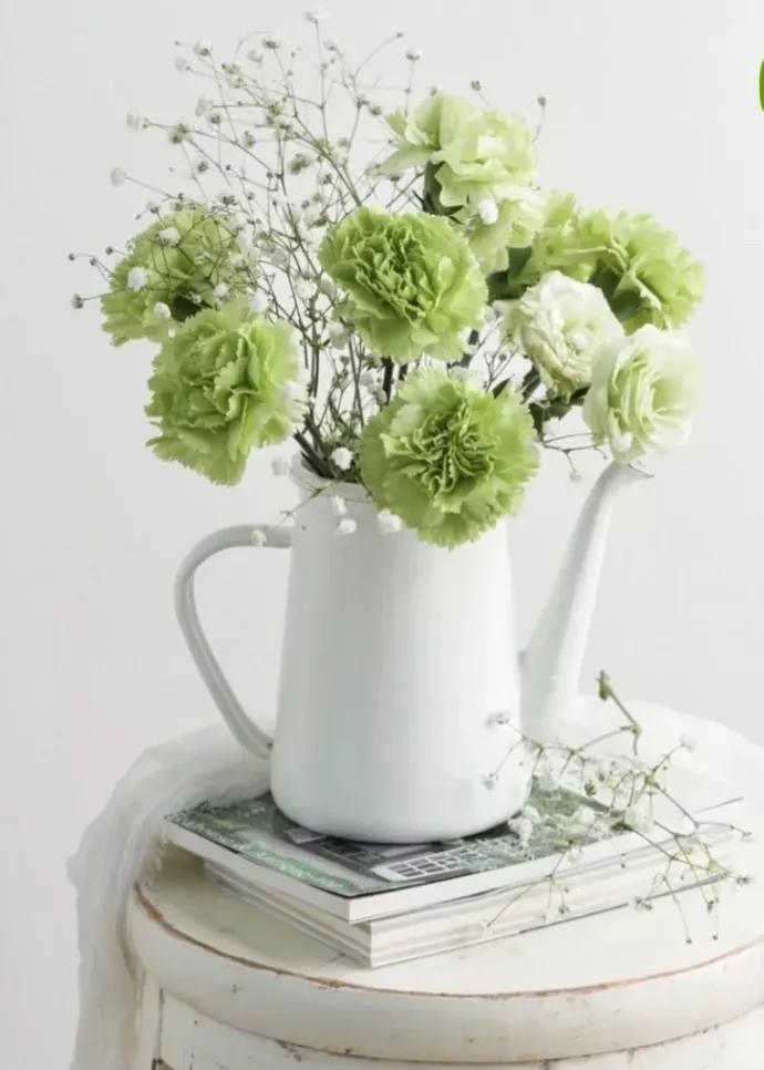 双子怎么追摩羯,摩羯双子谁厉害