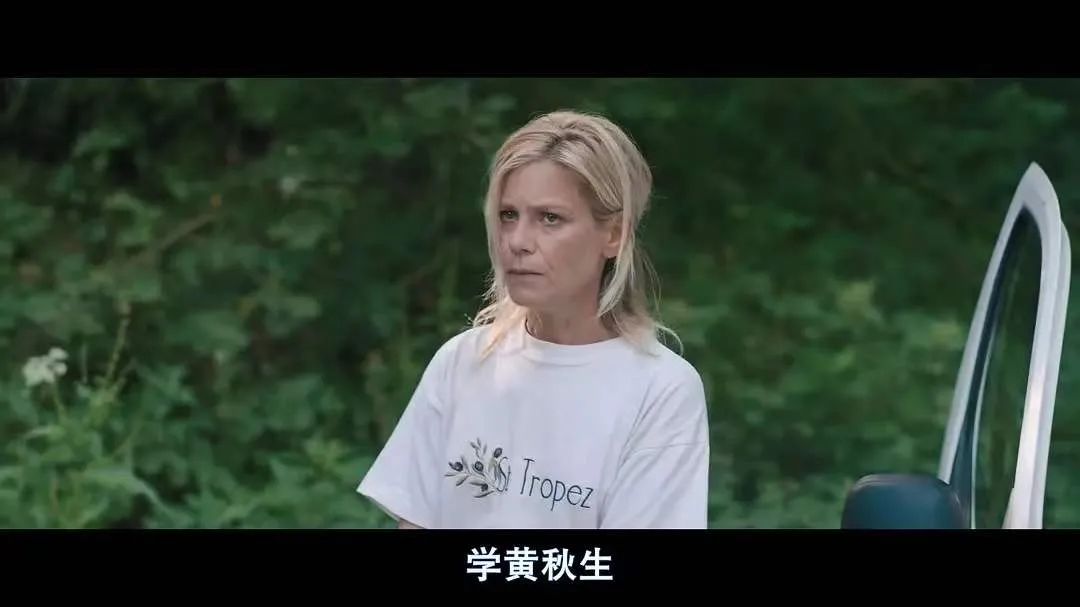 除了尺度太大,这片基本没毛病