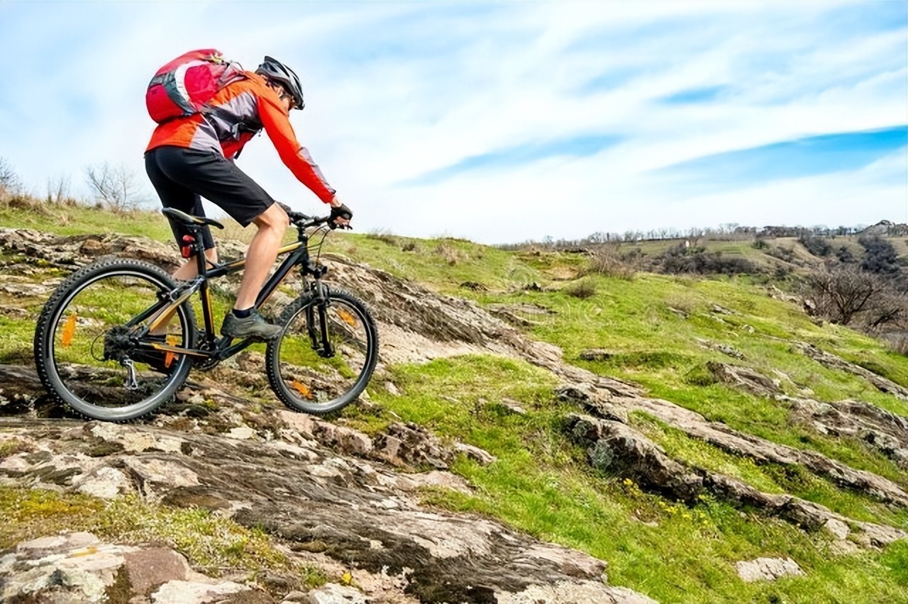 捷安特永久和凤凰哪一个品牌更好,凤凰山地车和捷安特山地车哪个好