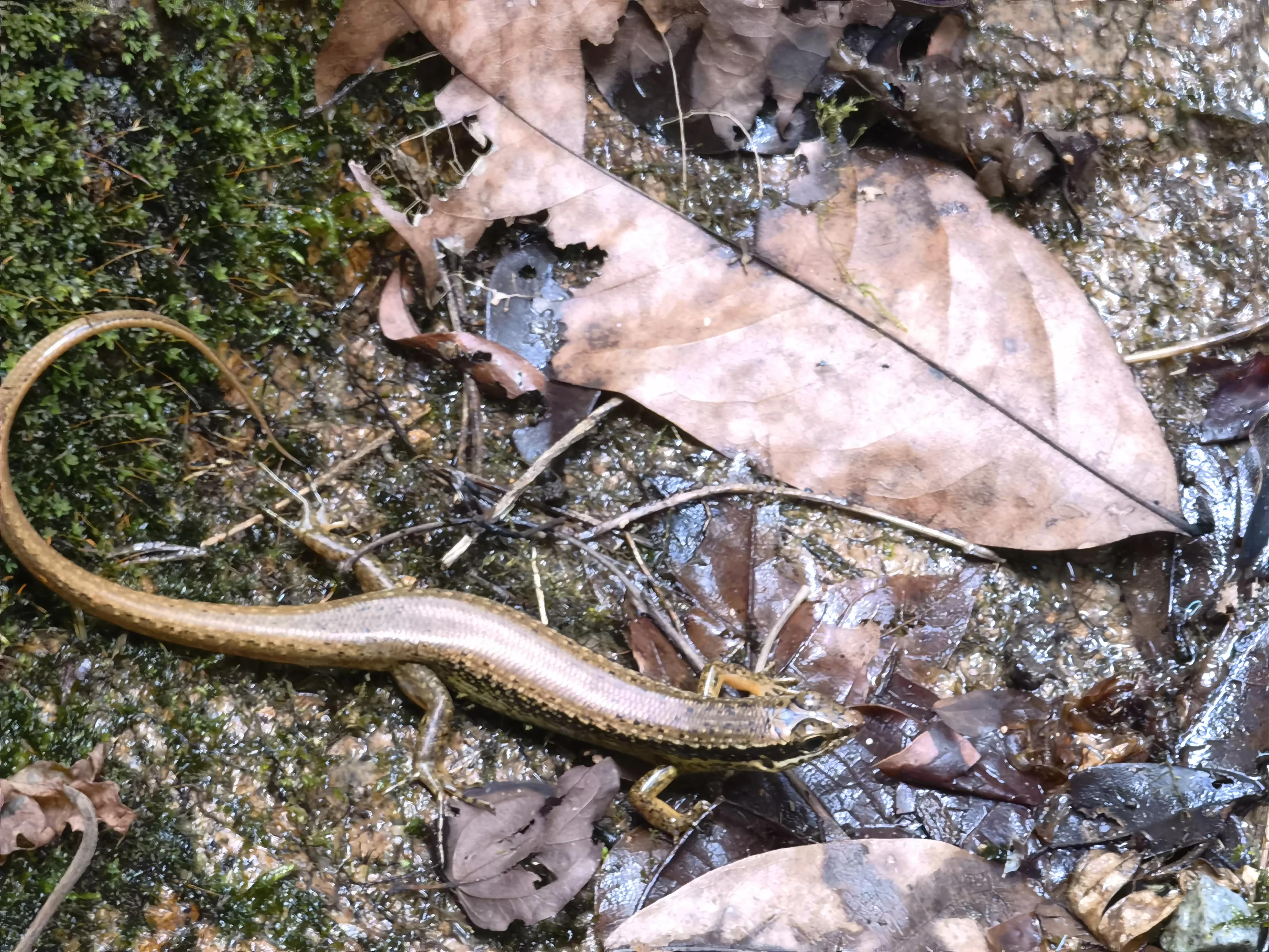 亲子游玩广州好去处推荐,亲子游玩好去处推荐广州