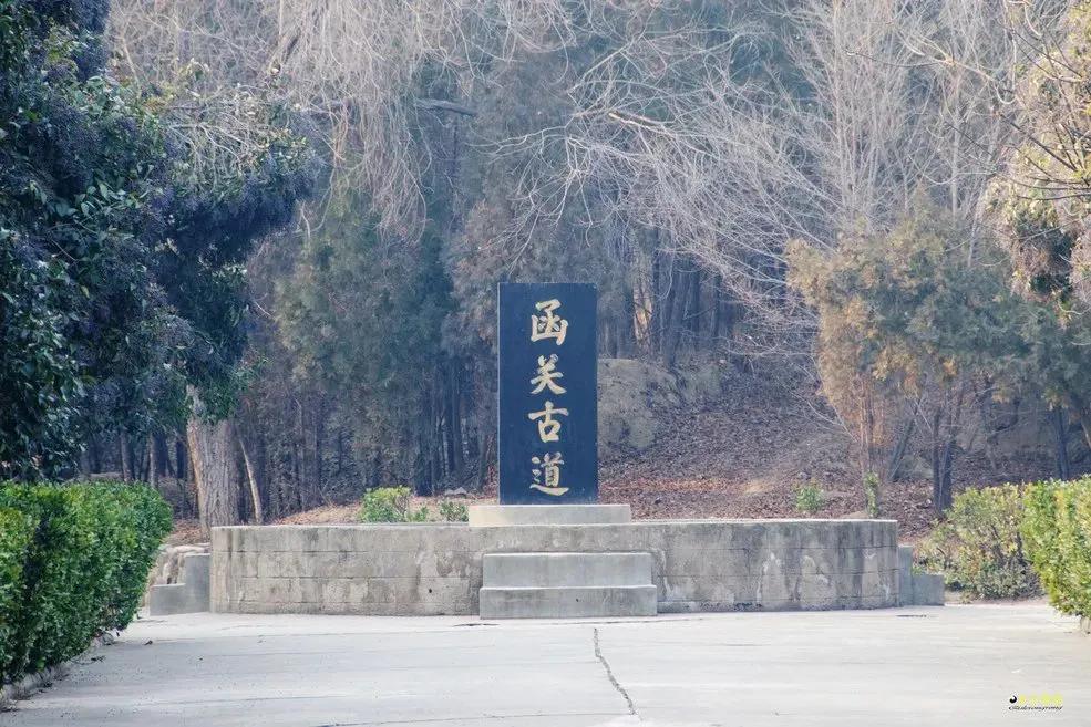 别惦记秦岭了，这条黄河边的观光路，全是旅游爱好者的“硬菜”