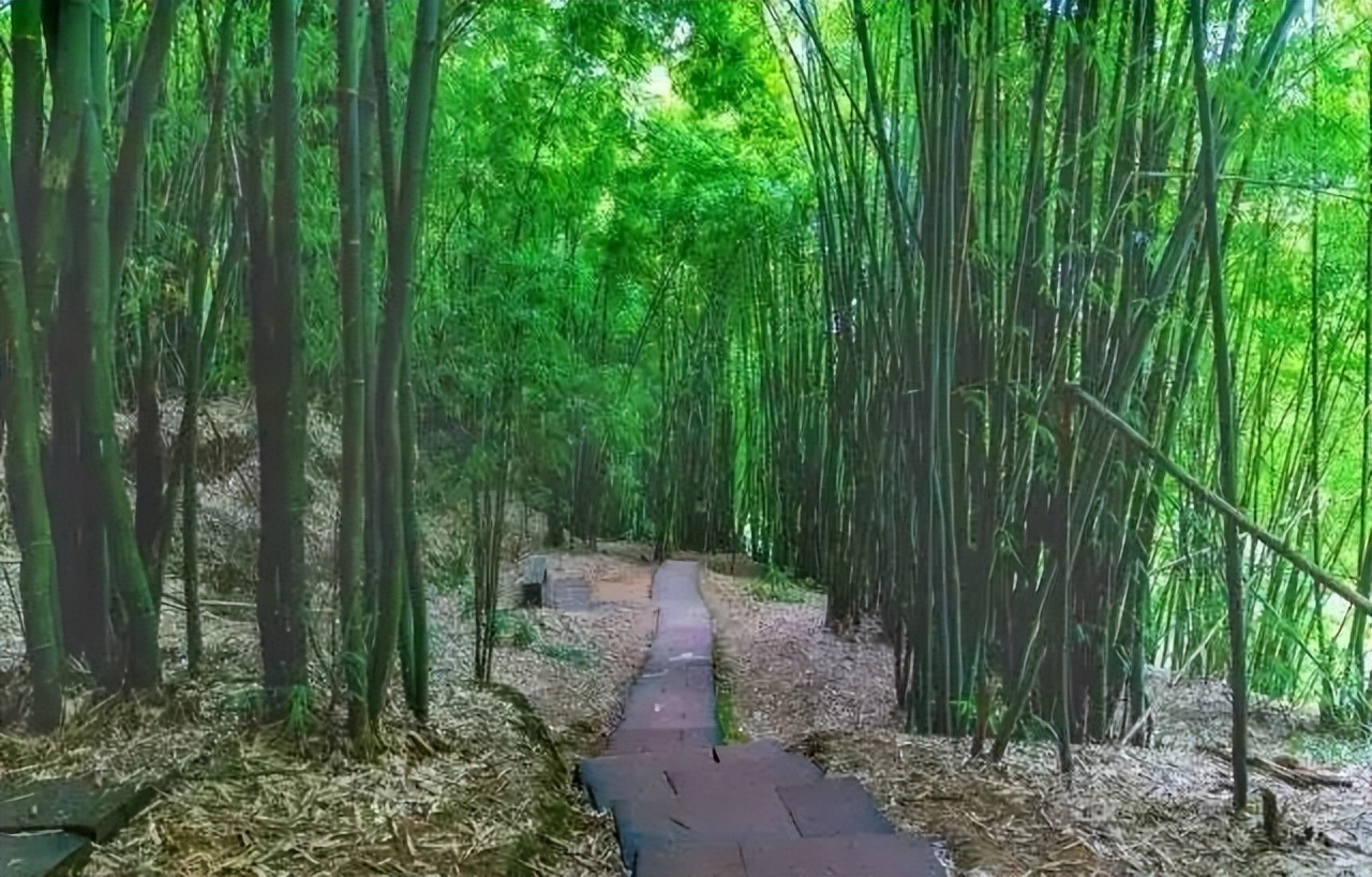 广州清远一日游必去景点,清远宝墩湖附近旅游攻略