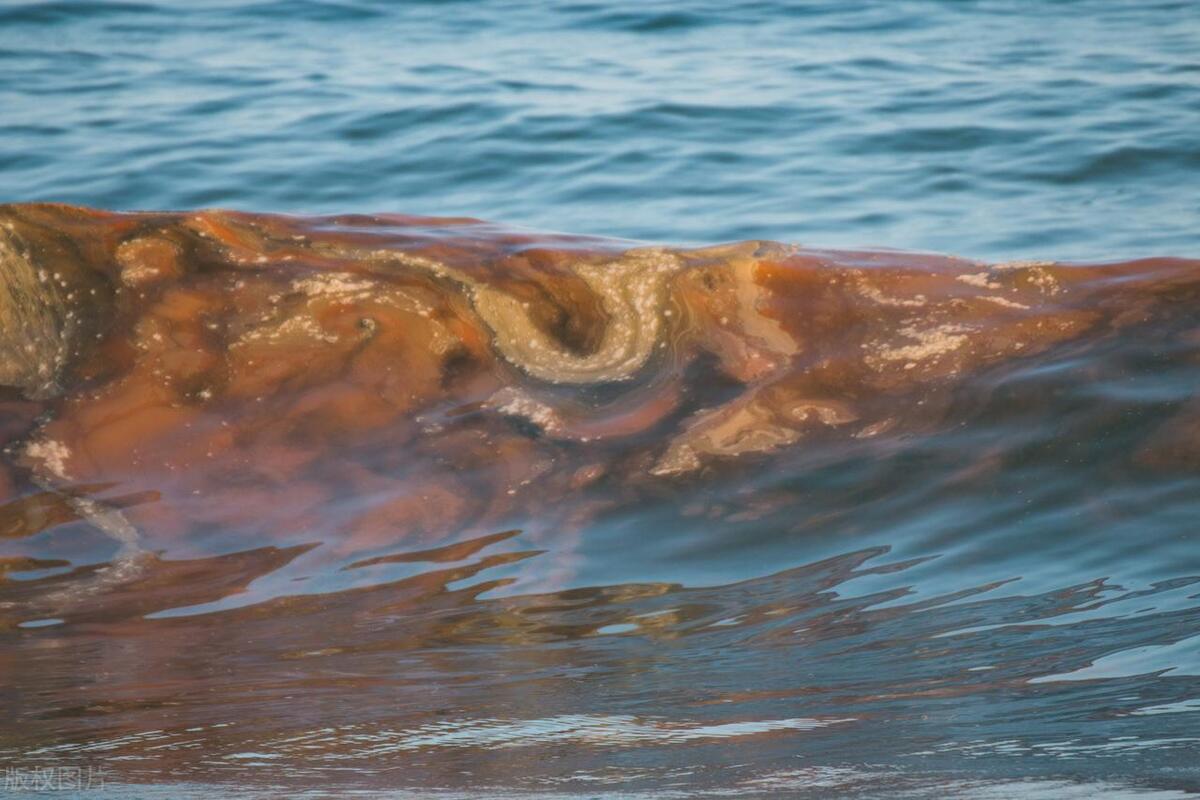 环境民事纠纷的解决案例分析,破坏环境民事责任的归责原则是