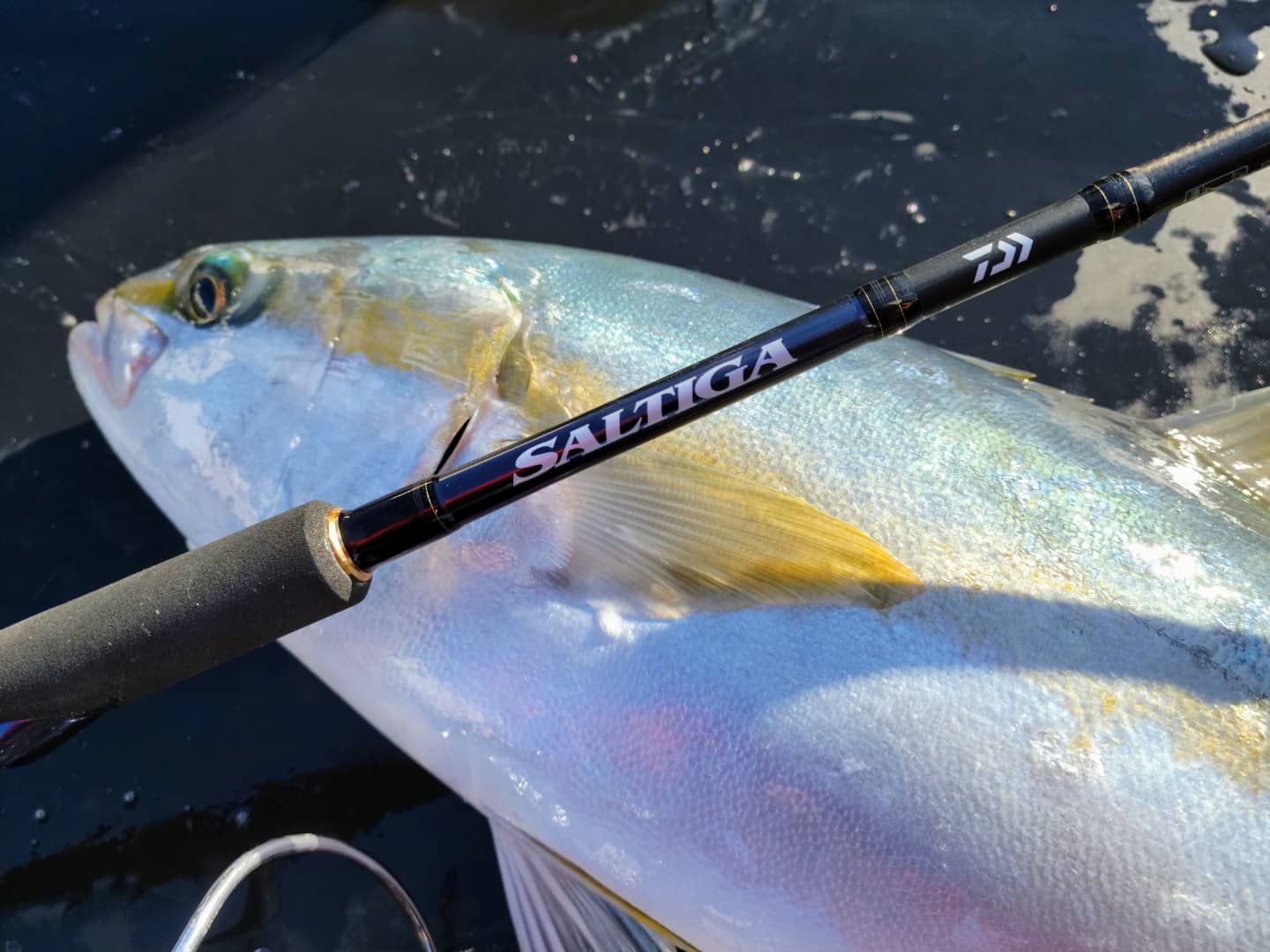 海钓鱼竿怎么抛得更远,海钓和路亚鱼竿的区别