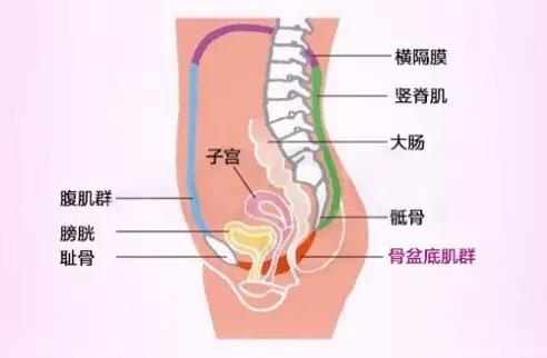 李沁近照瘦脱相，网友：这也太瘦了