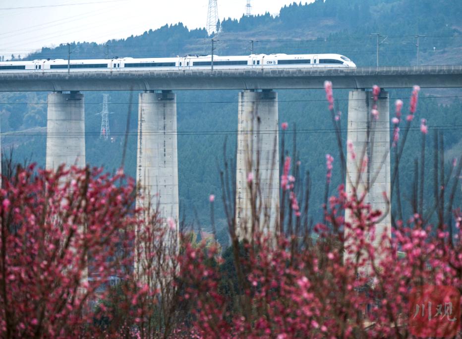 乐山直达香港高铁有什么好处,乐山高铁直达香港票价多少钱