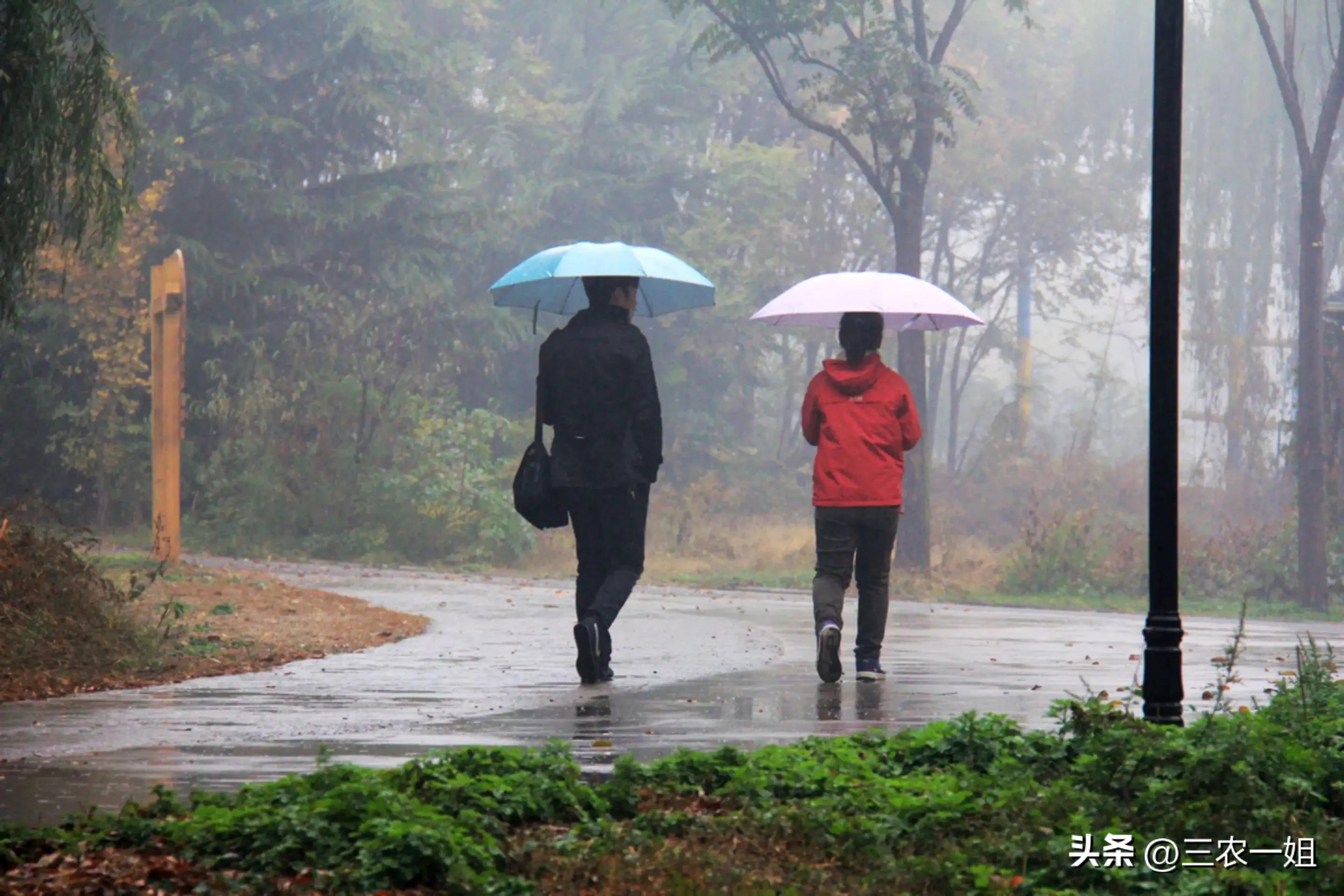 七月十五号以后南方近期暴雨预报,最新天气预报气象台发布暴雨预警