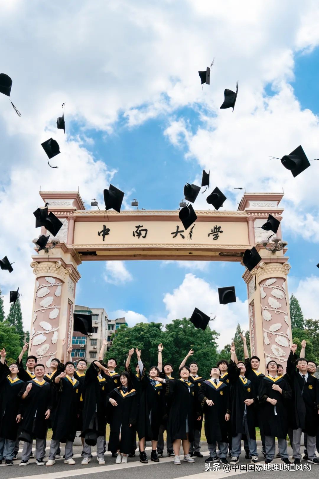 中南大学中南矿冶学院,中南是哪个大学