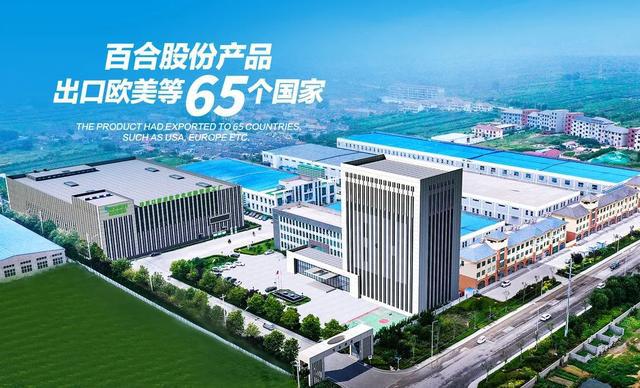 百合股份实力怎么样,百合股份保健品