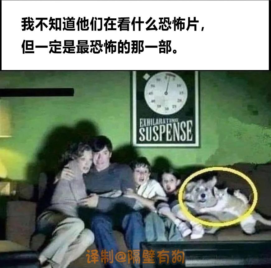 看完恐怖片不敢去最后一间厕所,看完恐怖片转移阵地