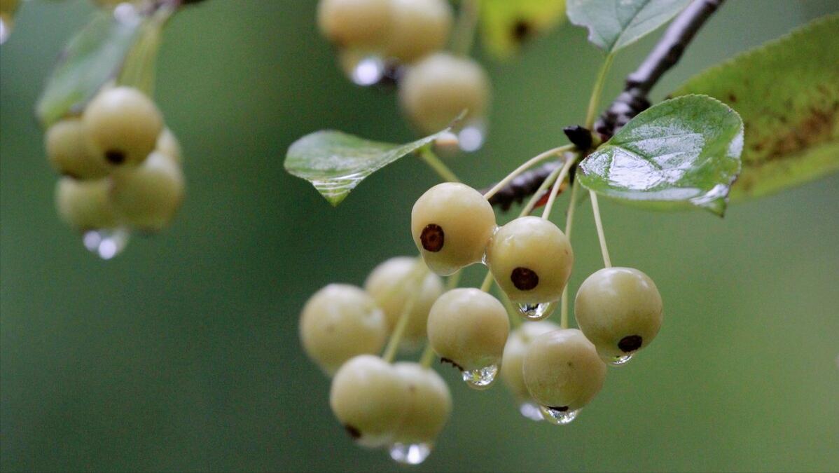 商业大佬的创业故事，你值得学习！（一）