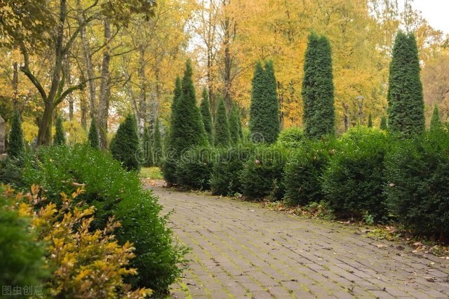 十款多功能智能蓝牙音箱,多功能蓝牙音箱好评