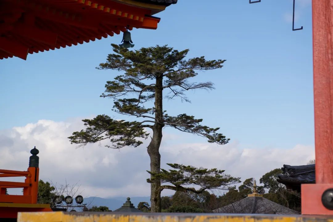 涔愰珮202001,0.01鏃ユ湰